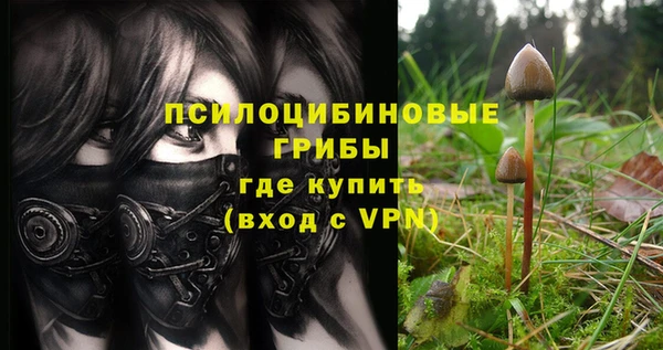 кокаин Белокуриха