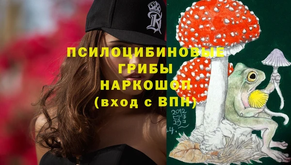 экстази Богородицк
