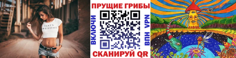 Псилоцибиновые грибы Psilocybe  наркотики  Невель 